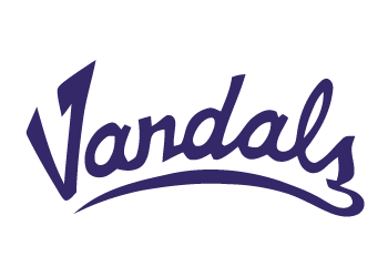Vandals 9u Baseball